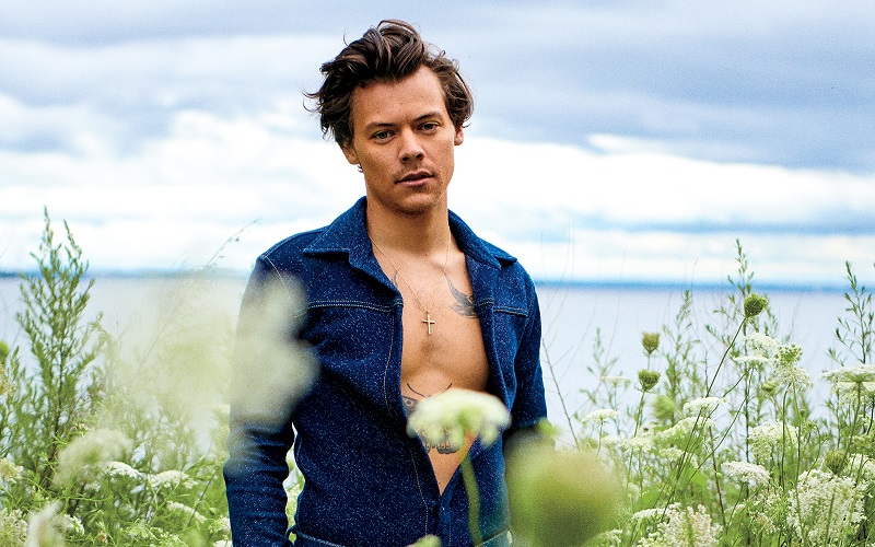 Harry Styles